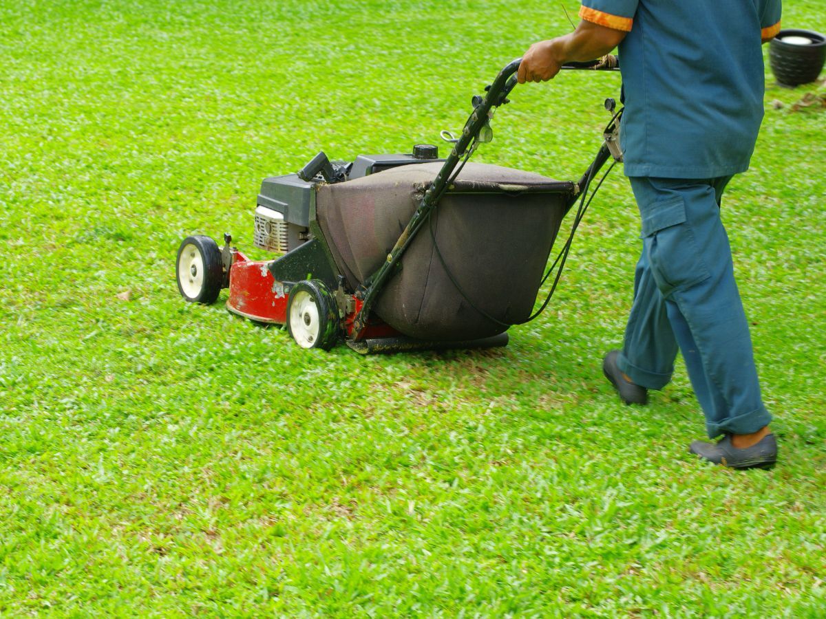 Lawn Mowing